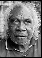 Picture of Paddy